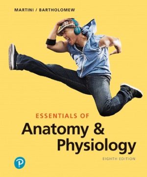 Essentials of Anatomy and Physiology 8E Martini TEST BANK