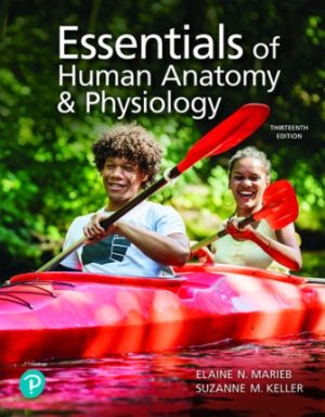 Essentials of Human Anatomy and Physiology 13E Marieb TEST BANK