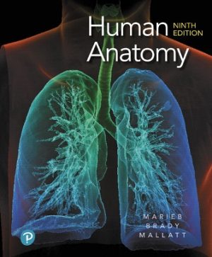 Human Anatomy 9E Marieb TEST BANK