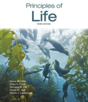 Principles of Life 3E Hillis TEST BANK