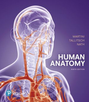 Human Anatomy 9E Martini SOLUTION MANUAL