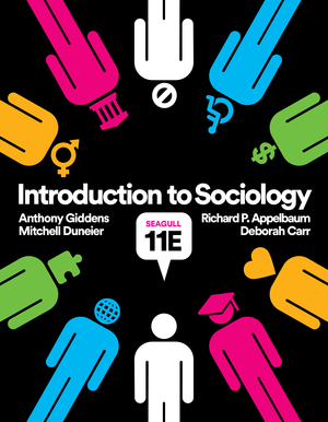 Introduction to Sociology (Seagull) 11E Carr TEST BANK