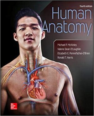 Human Anatomy 4E McKinley TEST BANK
