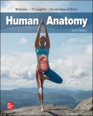 Human Anatomy 6E McKinley TEST BANK